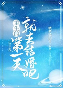 重生的第一天就去結婚吧